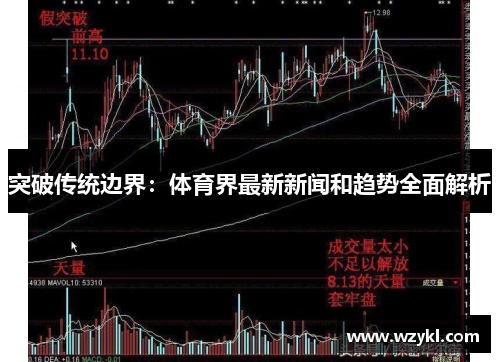 突破传统边界：体育界最新新闻和趋势全面解析