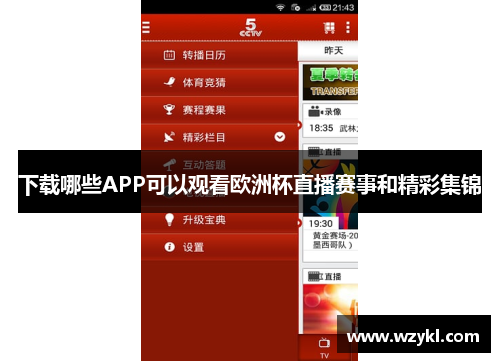 下载哪些APP可以观看欧洲杯直播赛事和精彩集锦